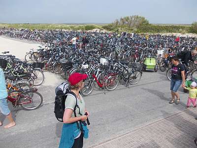 Ein Meer von Fahrrädern auf der Insel Amrum