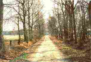 Radwanderweg durch das Duvenstedter Brook