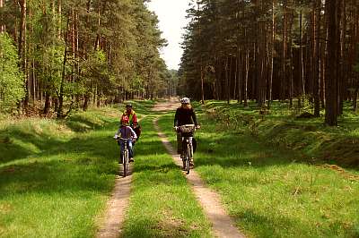 Riesige Waldgebiete zum Fahrradfahren