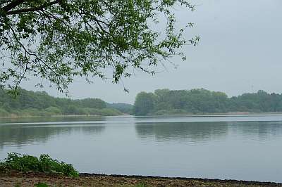 Badestelle am Westensee