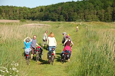 Radwandern im Westensee-Gebiet